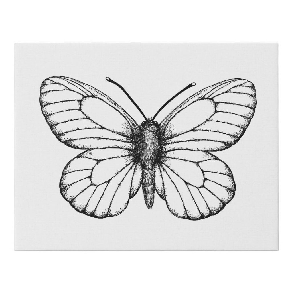 Moth Tattoos 44