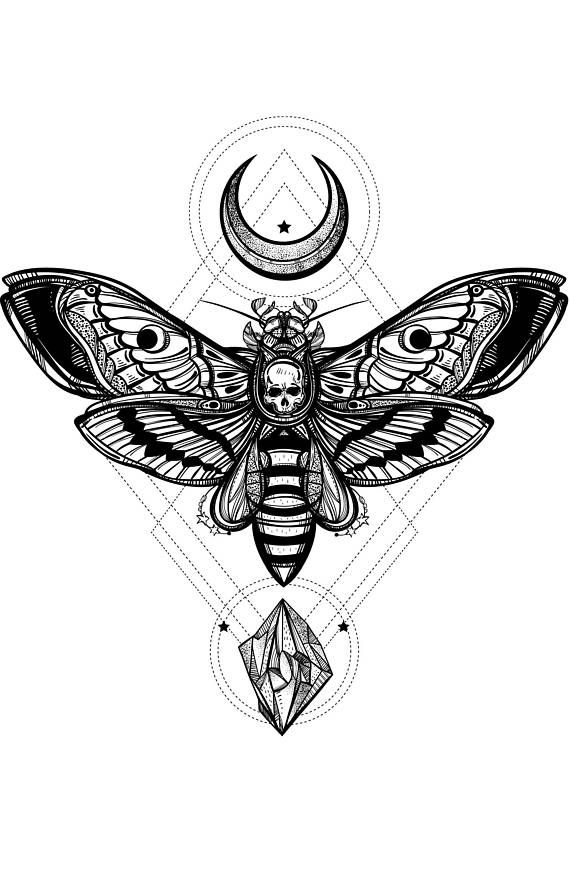 Moth Tattoos 48