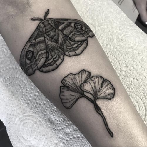 Moth Tattoos 52