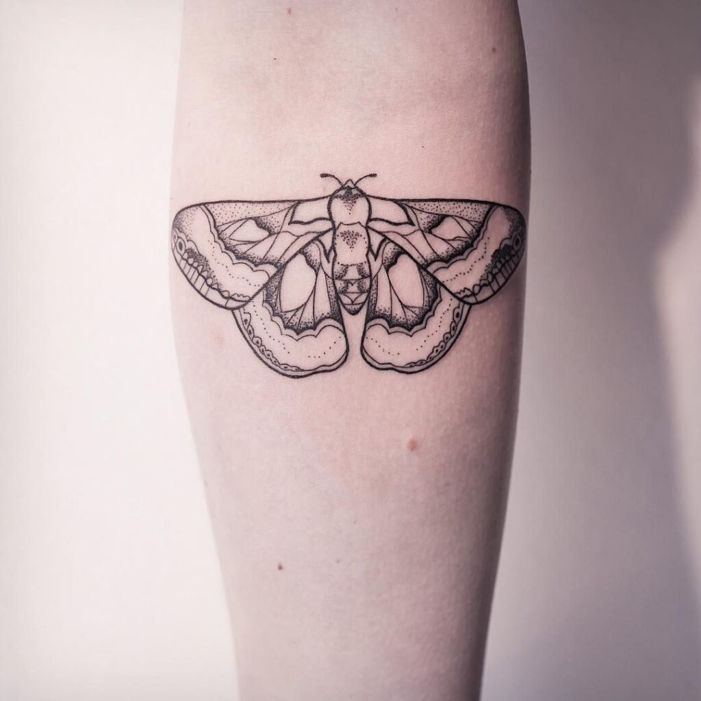 Moth Tattoos 53