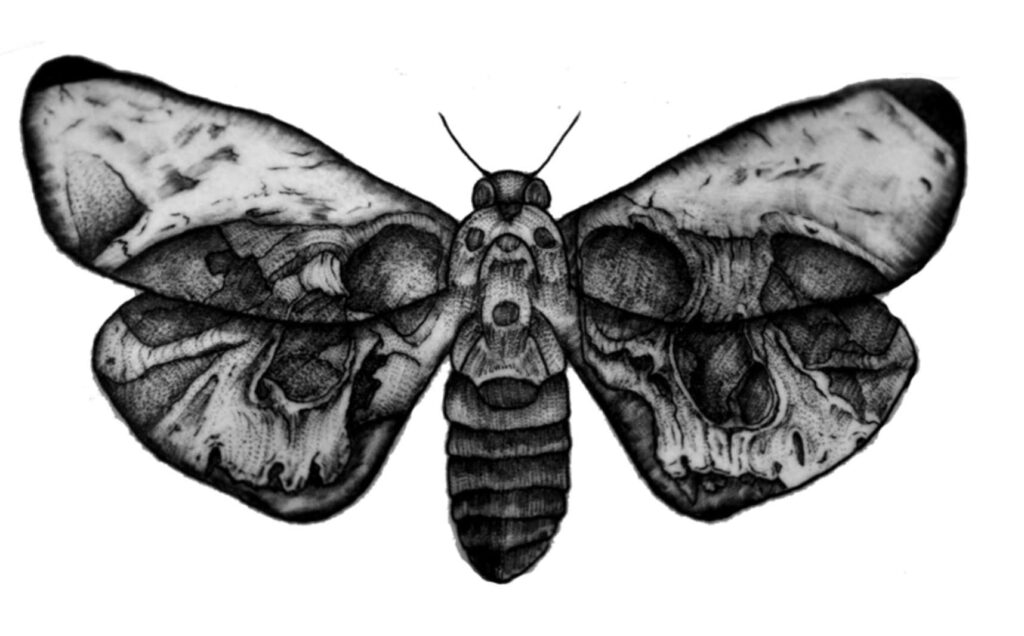 Moth Tattoos 55