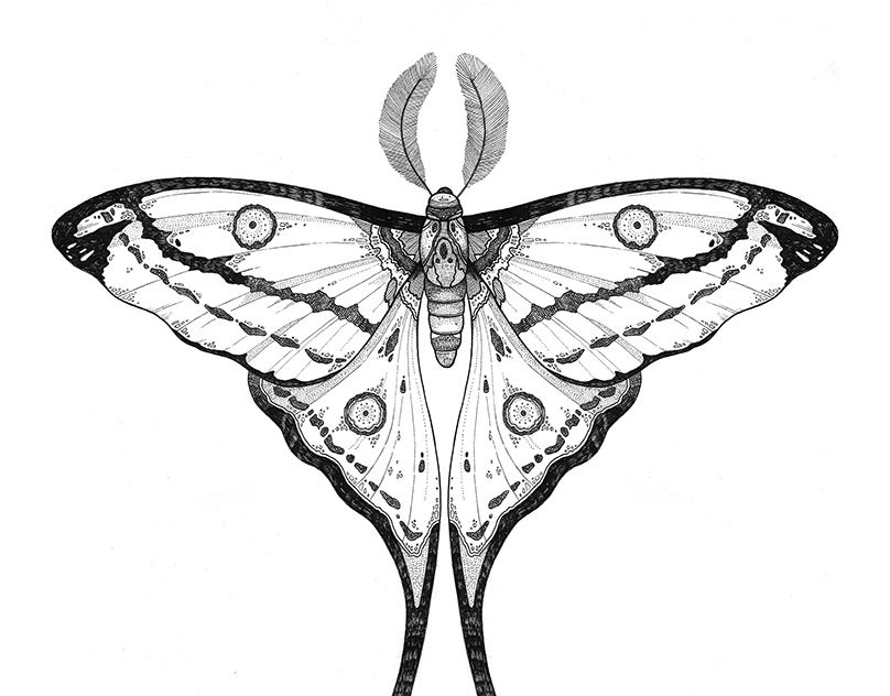 Moth Tattoos 56