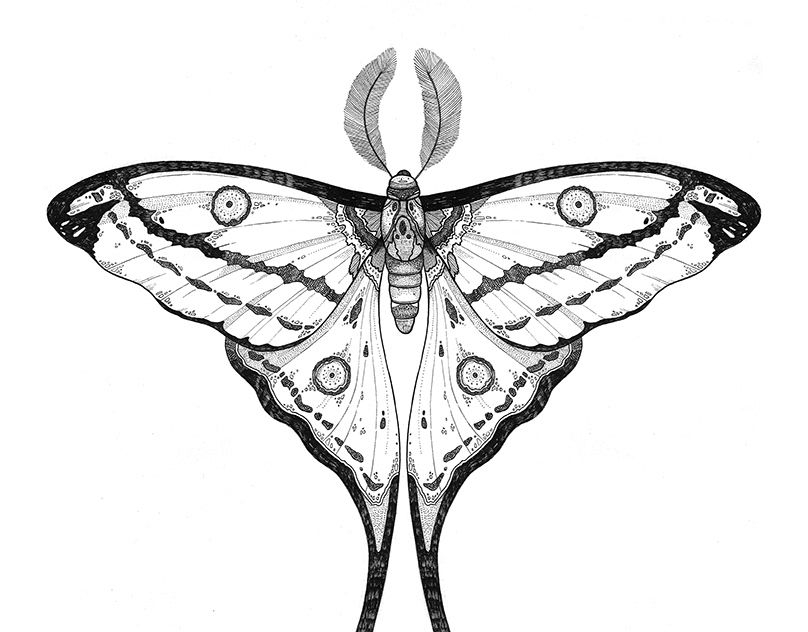 Moth Tattoos Designs for Men.