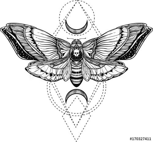 Moth Tattoos 57