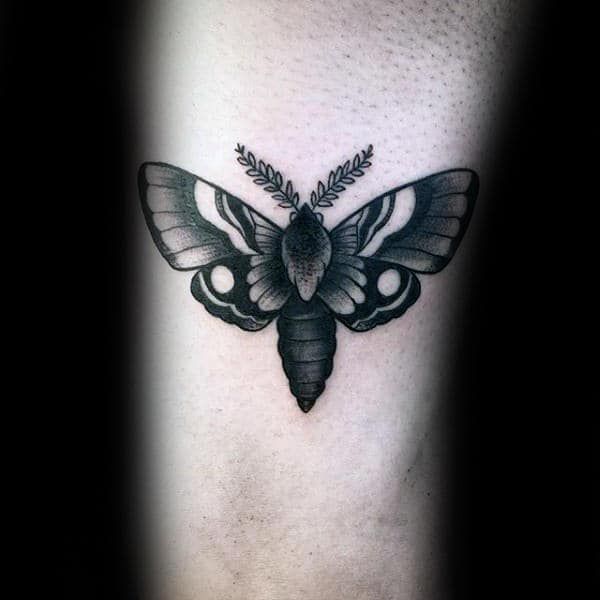 Moth Tattoos 58