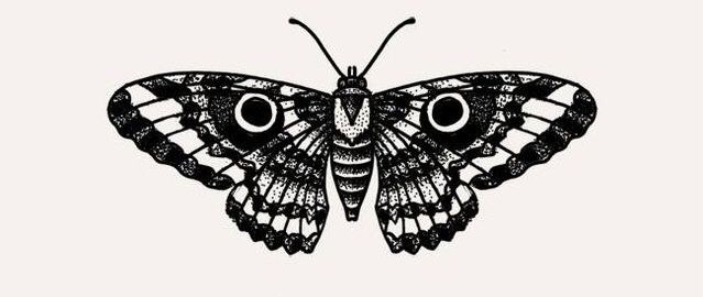 Moth Tattoos 65