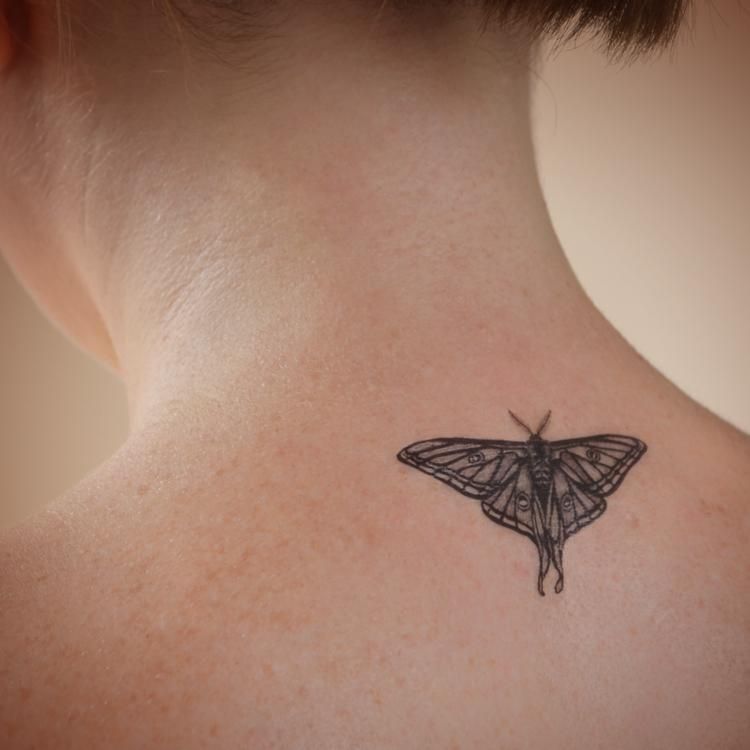 Moth Tattoos 70
