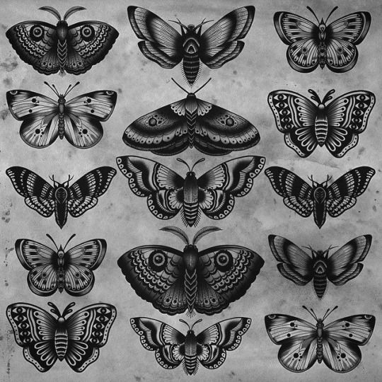 Moth Tattoos 71