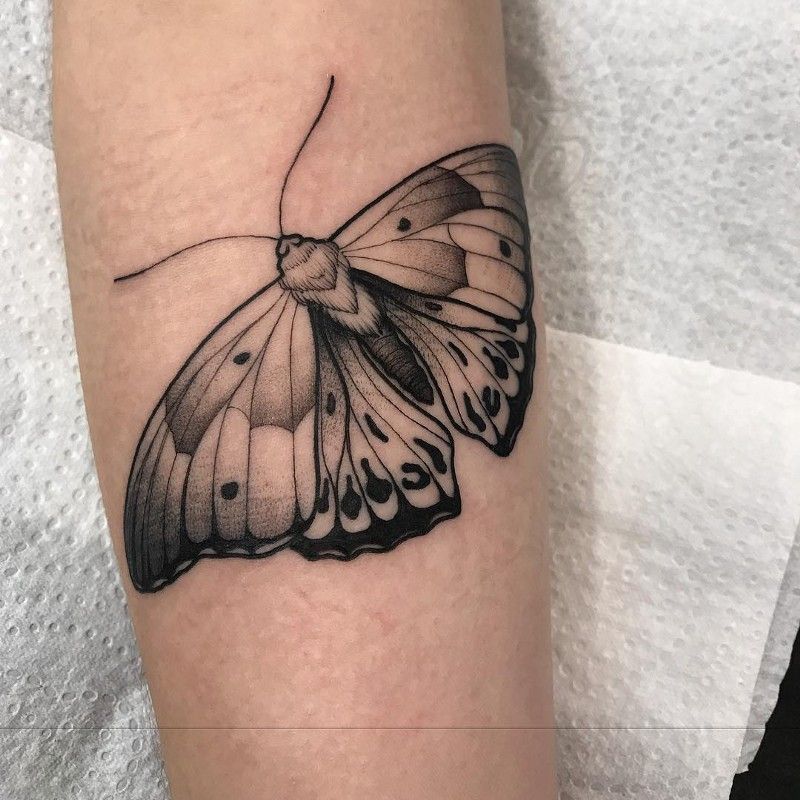 Moth Tattoos 76