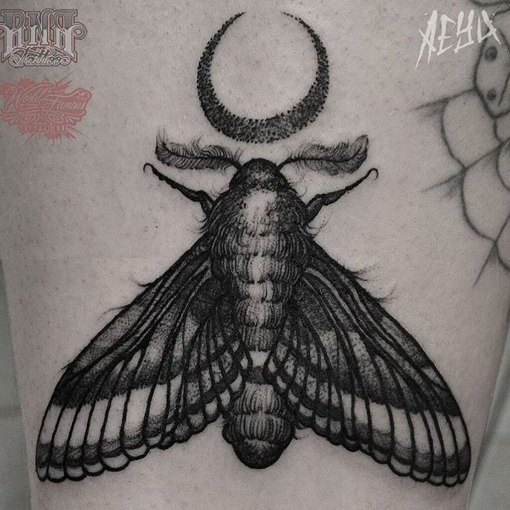 Moth Tattoos 86