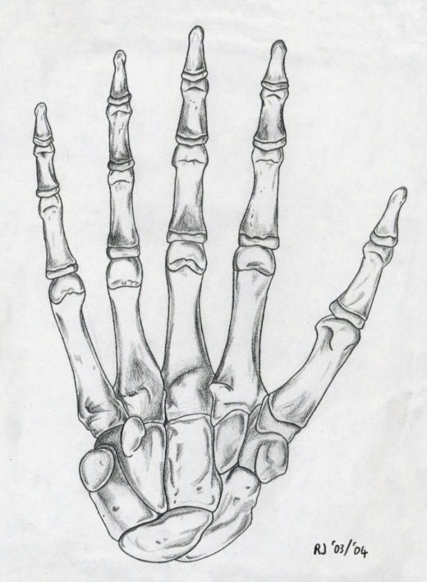 Skeleton Hand Tattoos 119