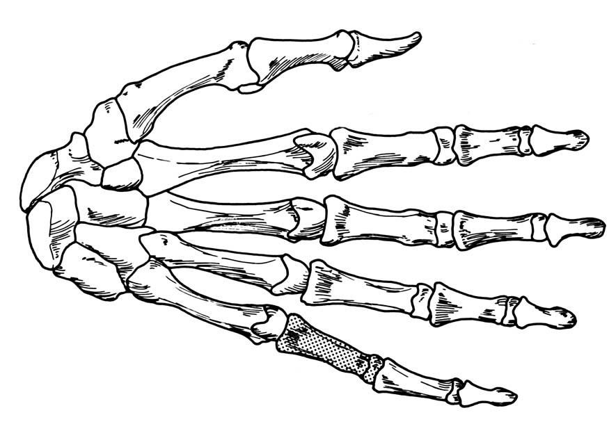 Skeleton Hand Tattoos 121