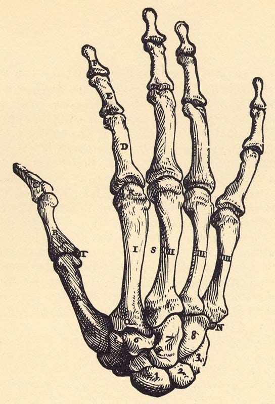 Skeleton Hand Tattoos 154