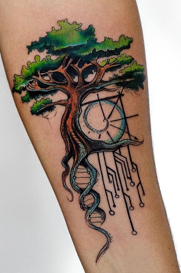 Tree Of Life Tattoos 145