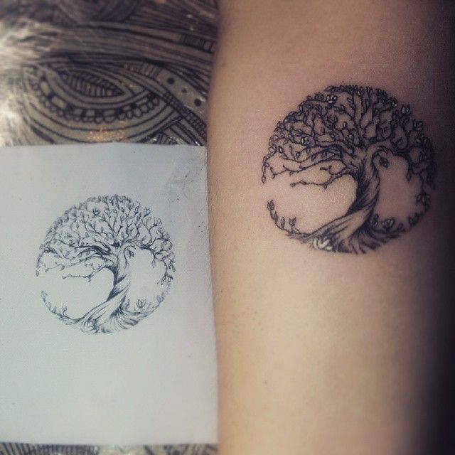 Tree Of Life Tattoos 56