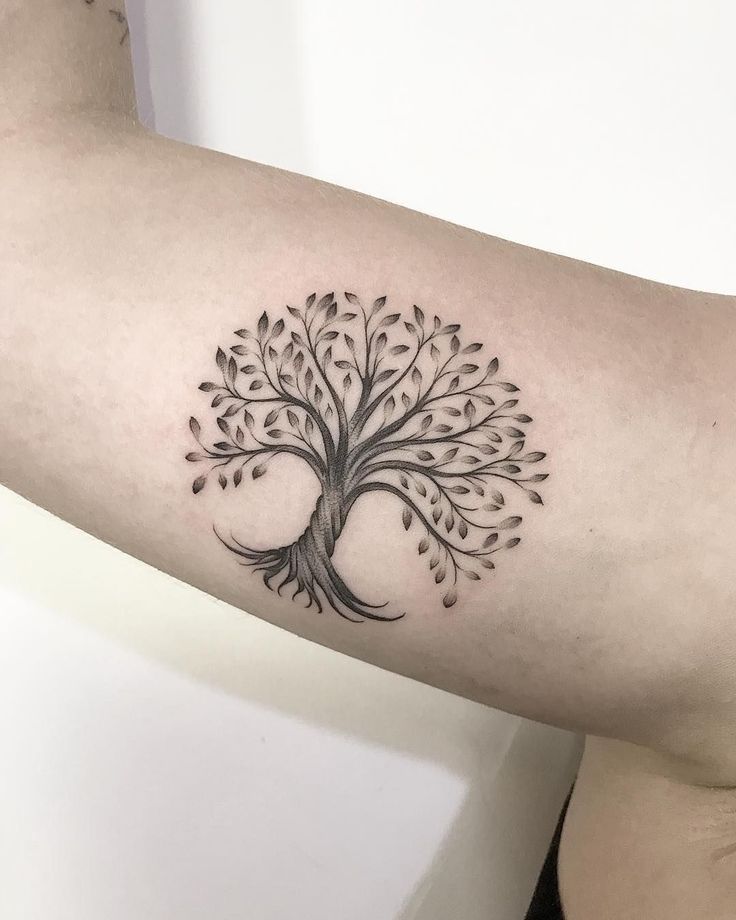 Tree Of Life Tattoos 60