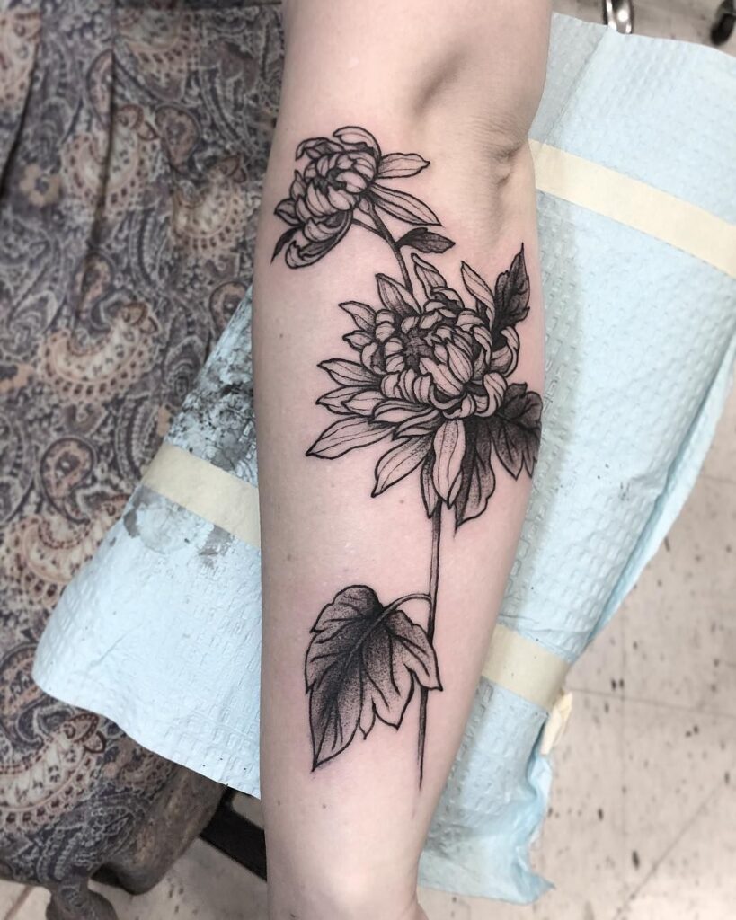 Chrysanthemum Tattoo 10