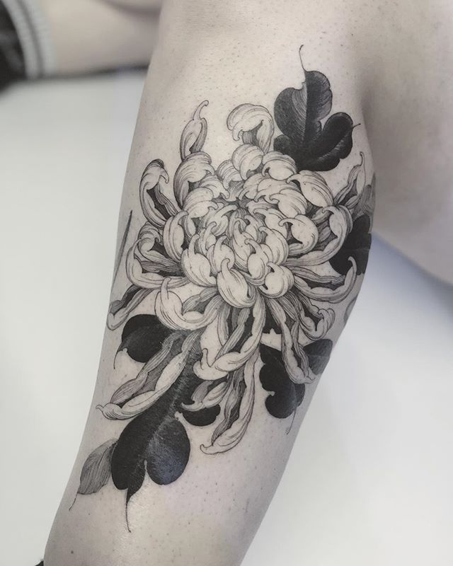Chrysanthemum Tattoo 11