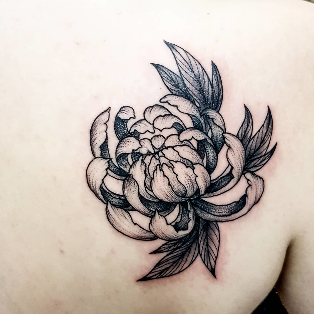 Chrysanthemum Tattoo 2