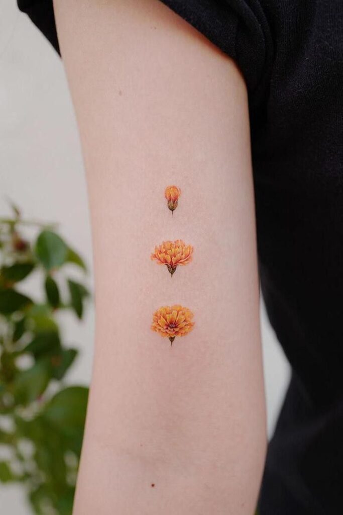 Chrysanthemum Tattoo 25