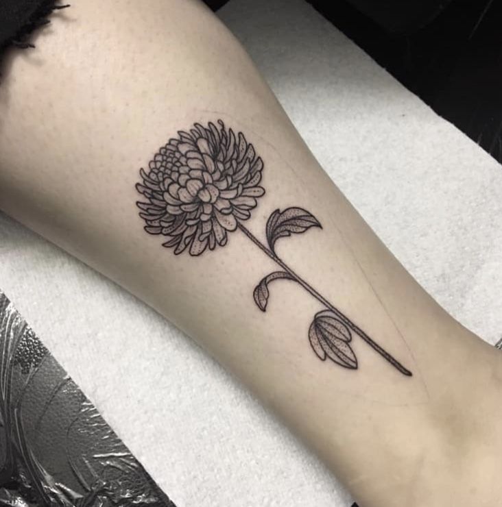 Chrysanthemum Tattoo 4