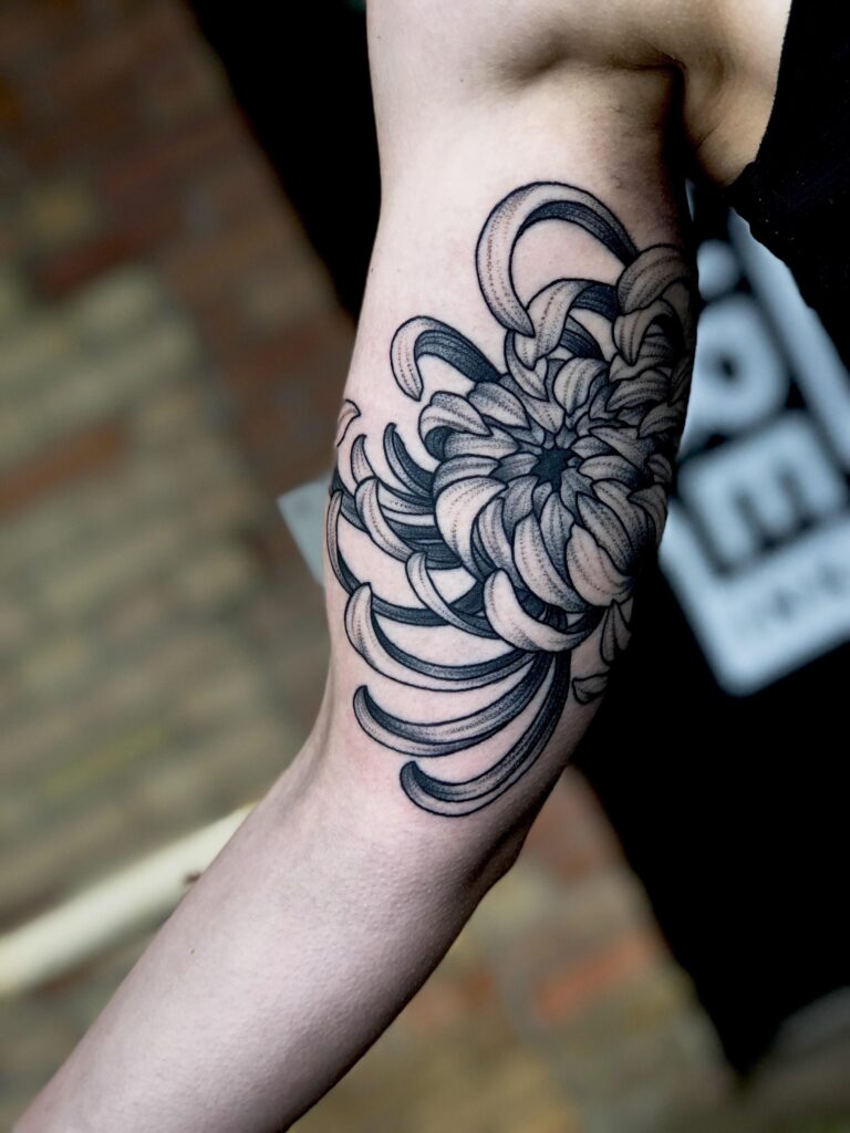 Chrysanthemum Tattoo 40