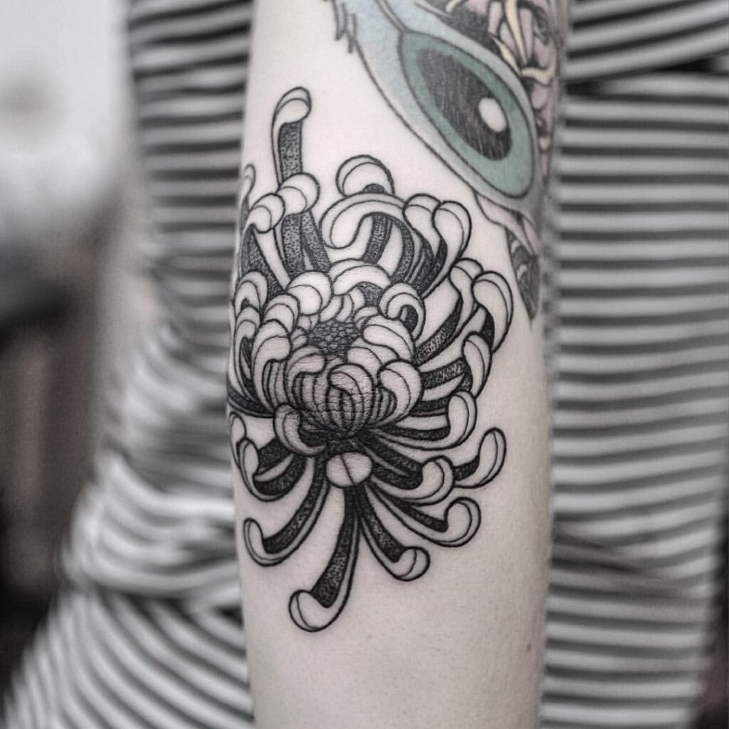 Chrysanthemum Tattoo 47
