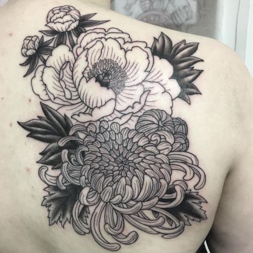 Chrysanthemum Tattoo 48