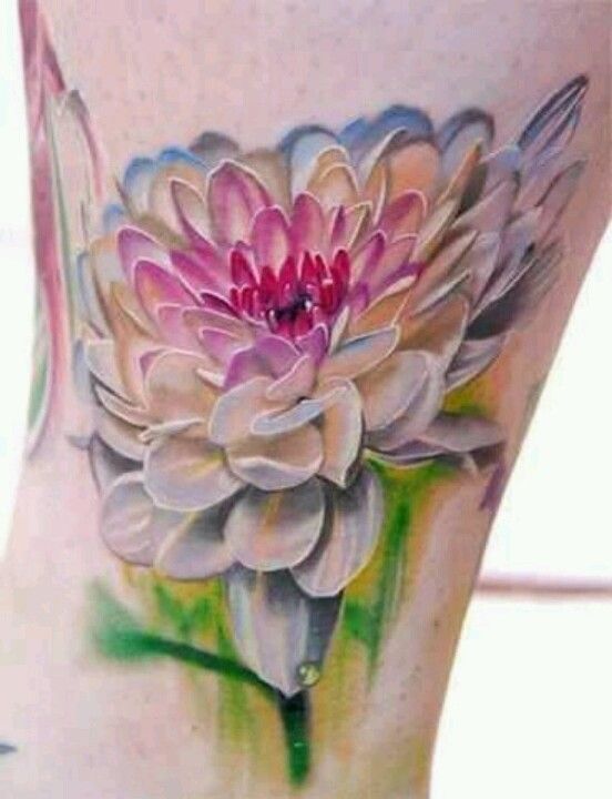 Chrysanthemum Tattoo 52