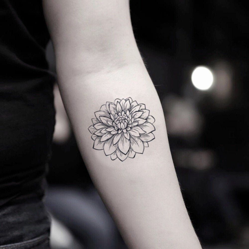 Chrysanthemum Tattoo 70