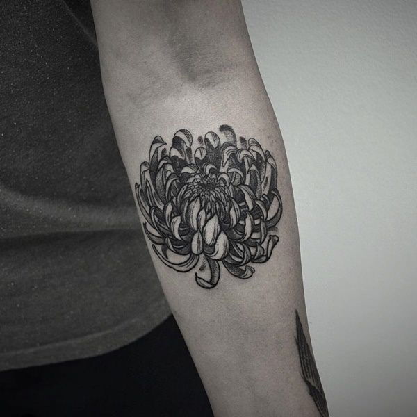 Chrysanthemum Tattoo 73