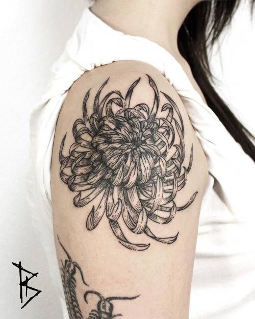 Chrysanthemum Tattoo 78