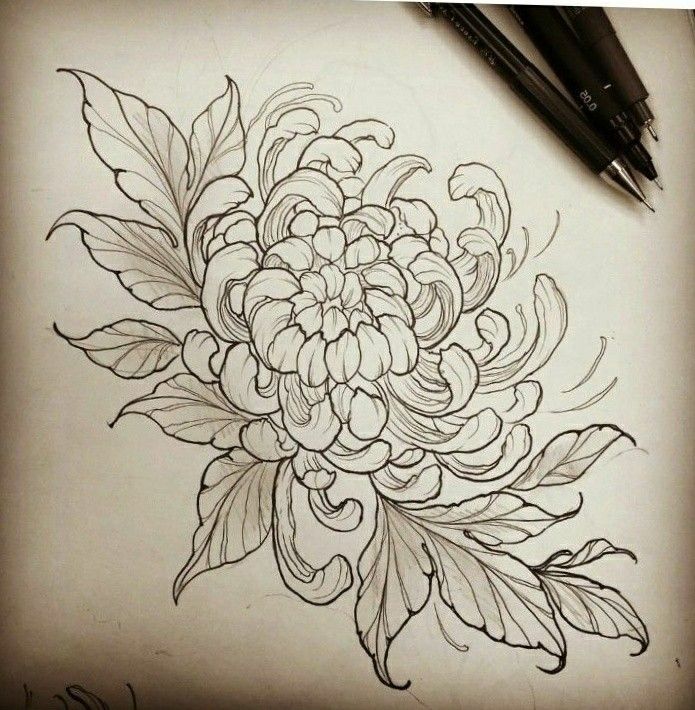 Chrysanthemum Tattoo 8