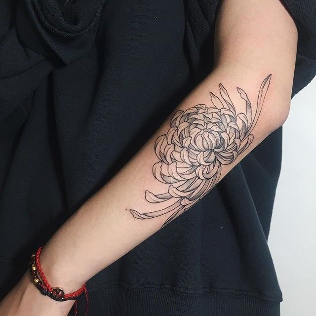 Chrysanthemum Tattoo 92