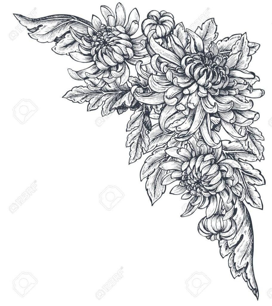 Chrysanthemum Tattoo 95
