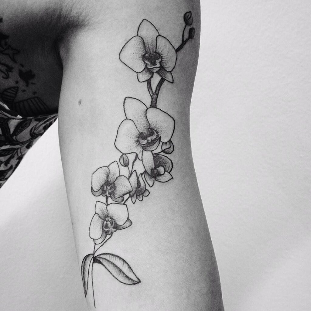Orchid Tattoo 100