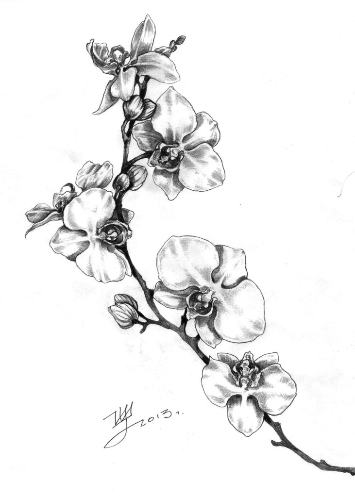 Orchid Tattoo 107