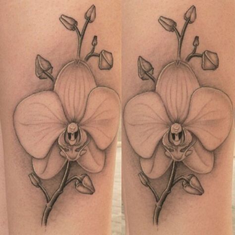 Orchid Tattoo 112