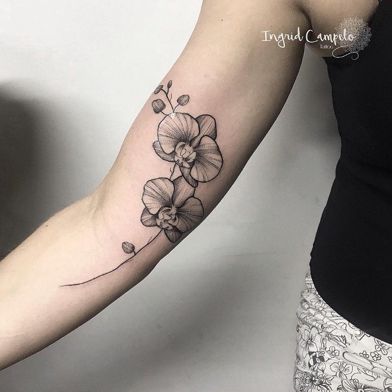 Orchid Tattoo 113