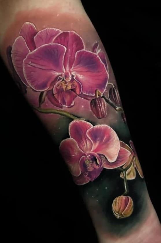 Orchid Tattoo 129