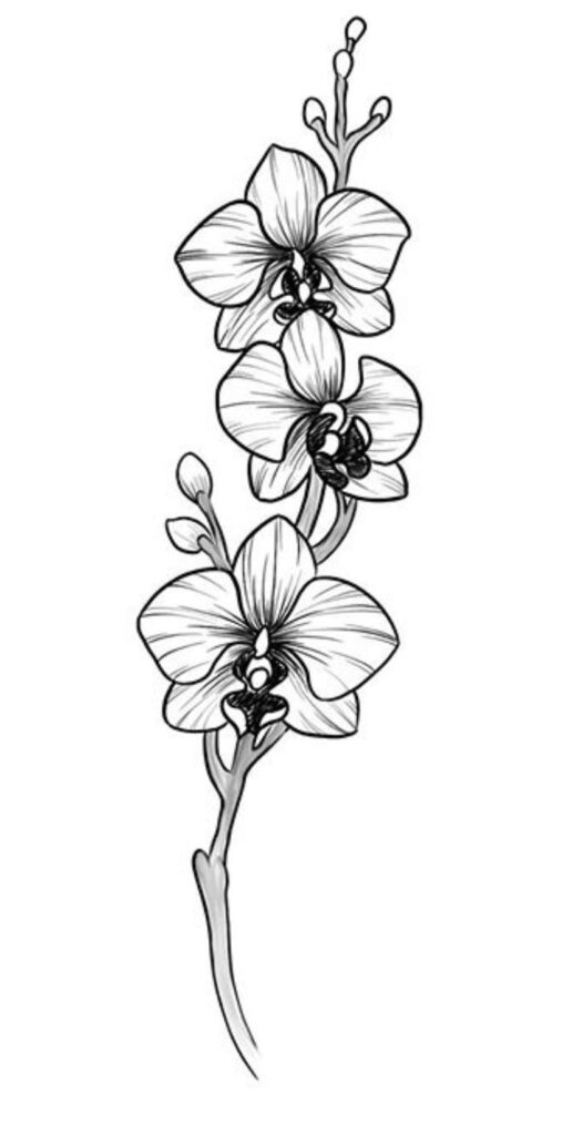 Orchid Tattoo 136