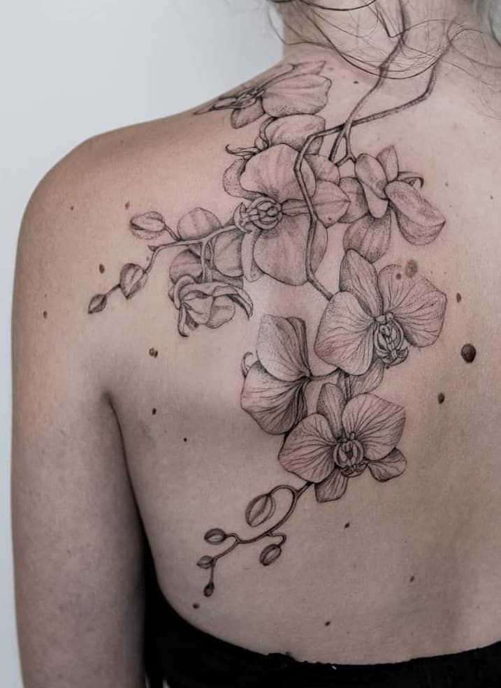 Orchid Tattoo 137