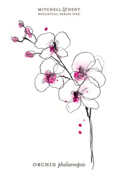 Orchid Tattoo 149