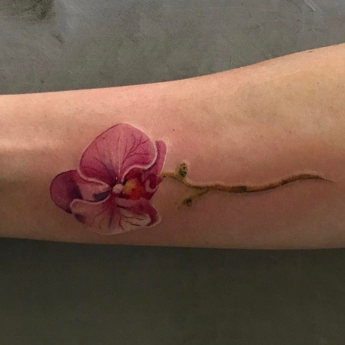 Orchid Tattoo 15