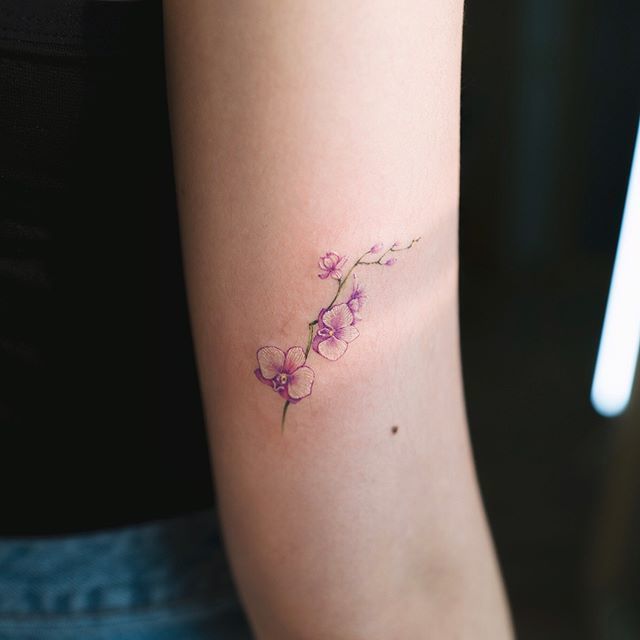 Orchid Tattoo 167