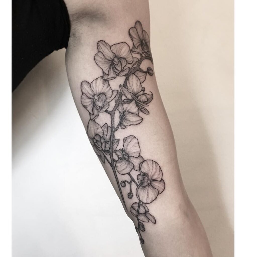 Orchid Tattoo 172