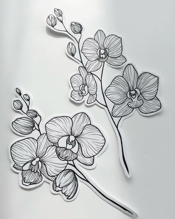 Orchid Tattoo 183