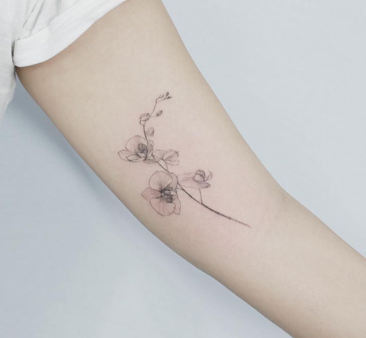 Orchid Tattoo 187