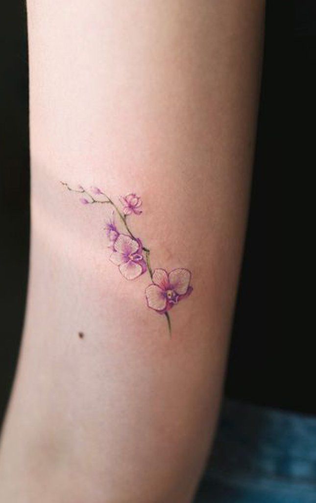 Orchid Tattoo 191