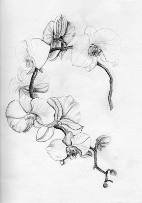 Orchid Tattoo 23